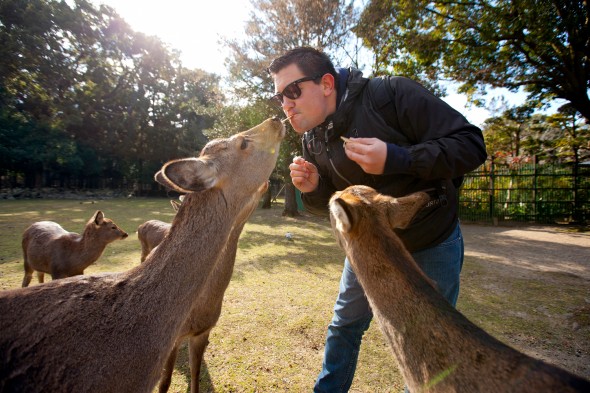 Image of Todd Spoth feeding deer in Nara, Japan